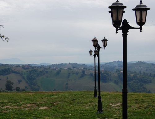 Fattoria San Carlo – Esterni