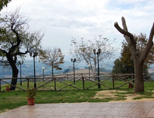 Fattoria San Carlo – Esterni