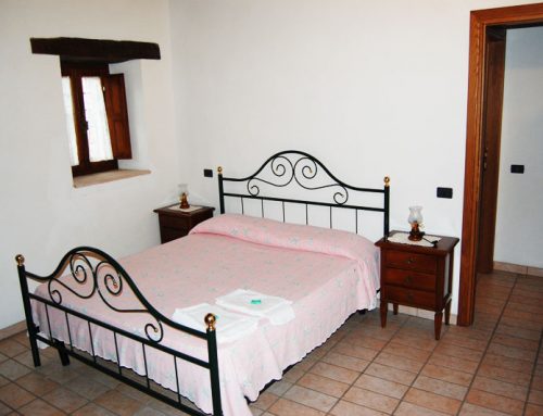 Fattoria San Carlo – Interni