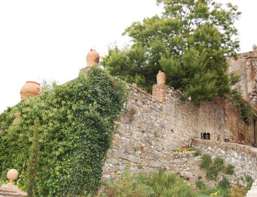 Fattoria San Carlo – Interni