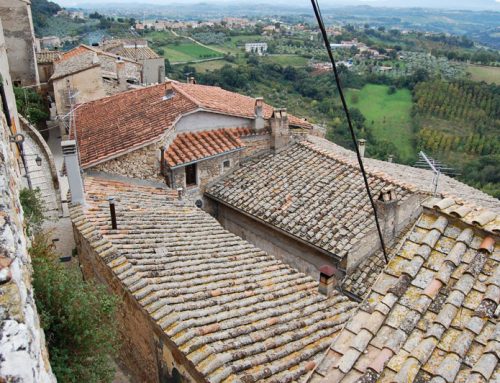 Fattoria San Carlo – Interni